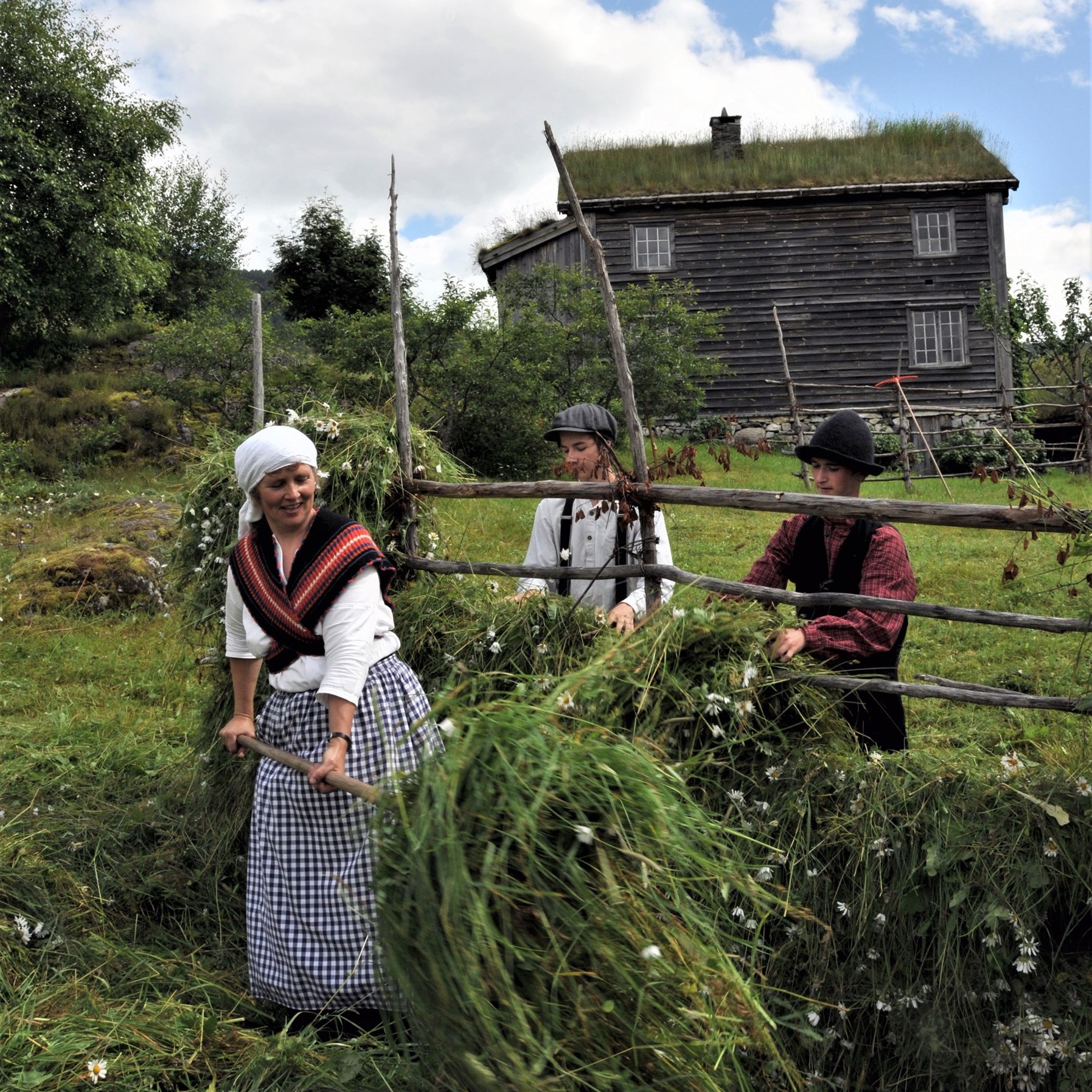 Slått-hesjing-museumsgard.jpg