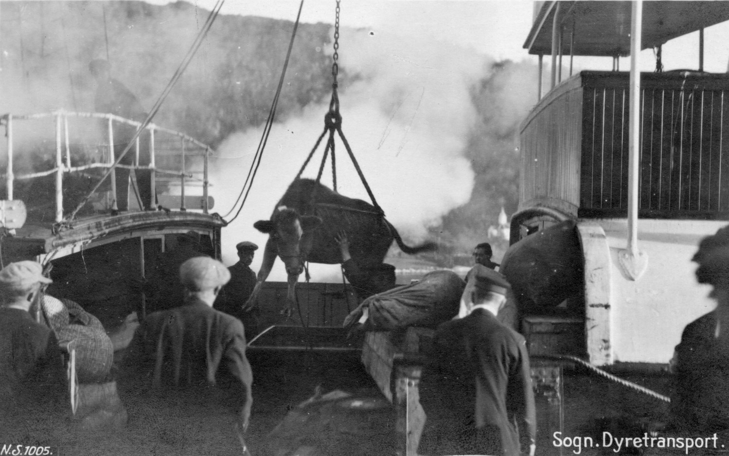 norsk-reiselivsmuseum/dyretransport_med_dampbat_msf_02237.jpg.