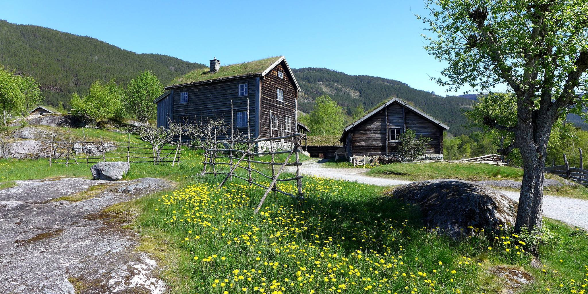 Gardstun i sol, blomstereng med hes.