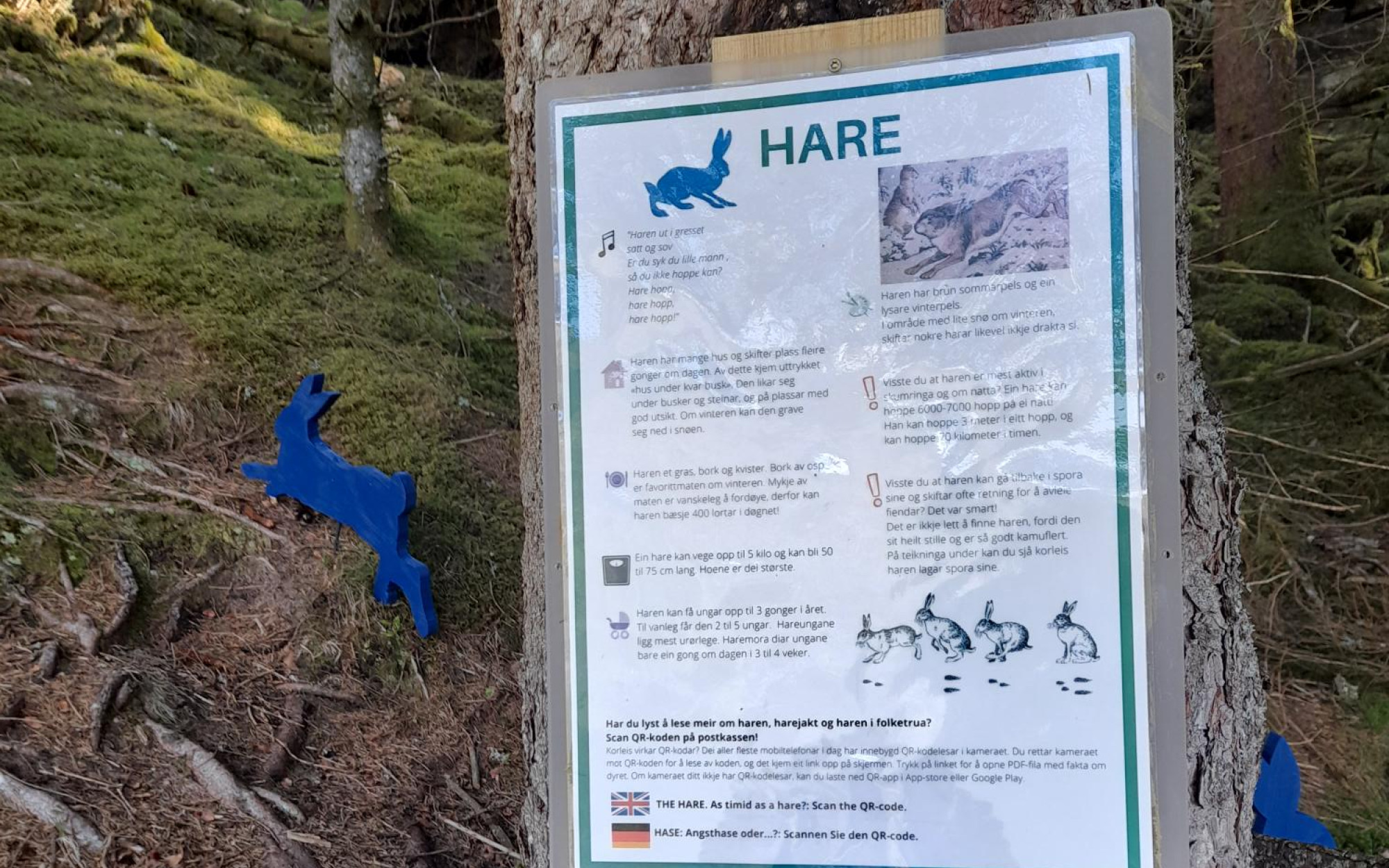 Plakat om hare heng på eit tre. Dyrefigurar i bakgrunnen