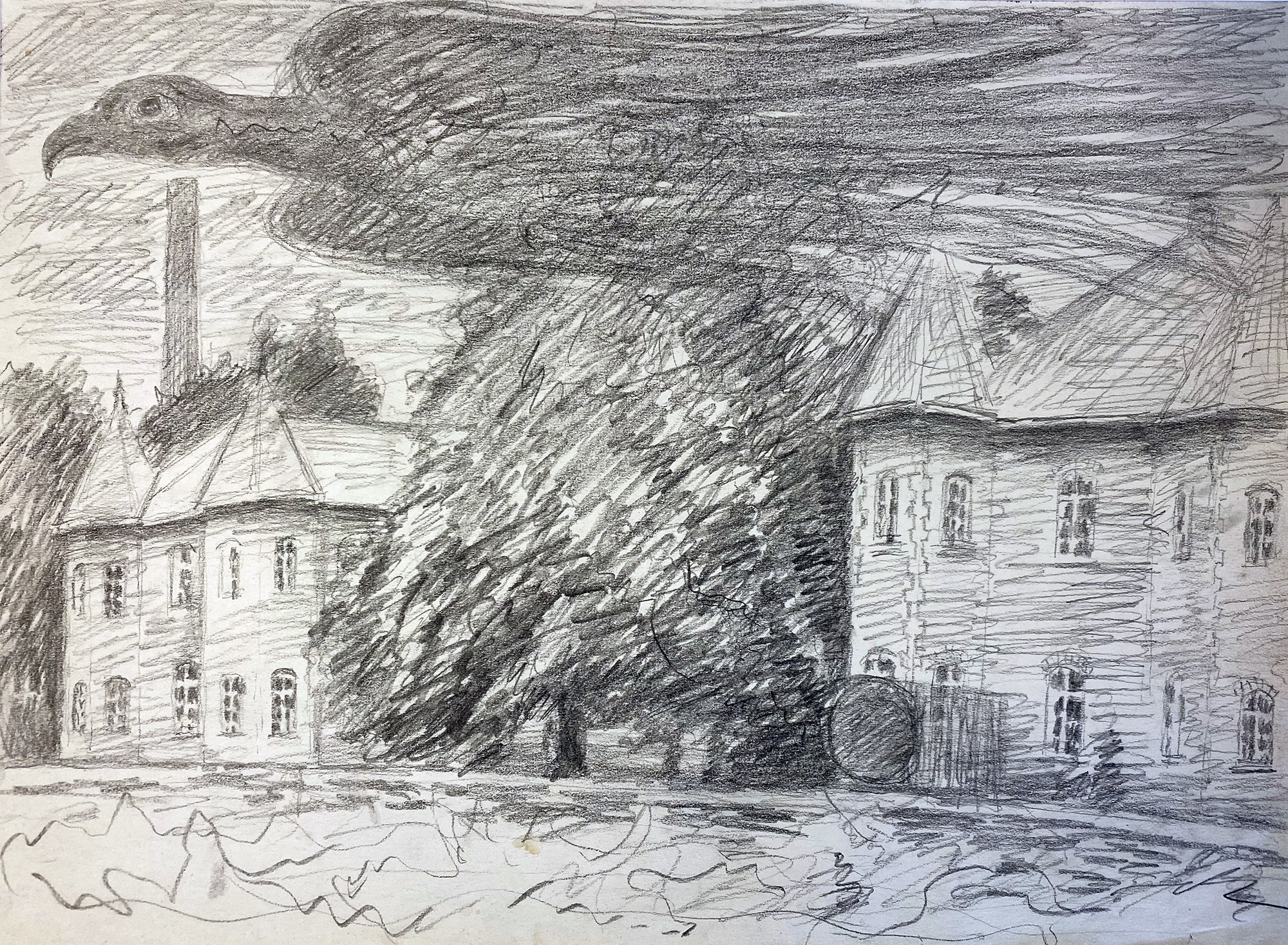 Drawing of black bird who casts shadows over the mental institution.
