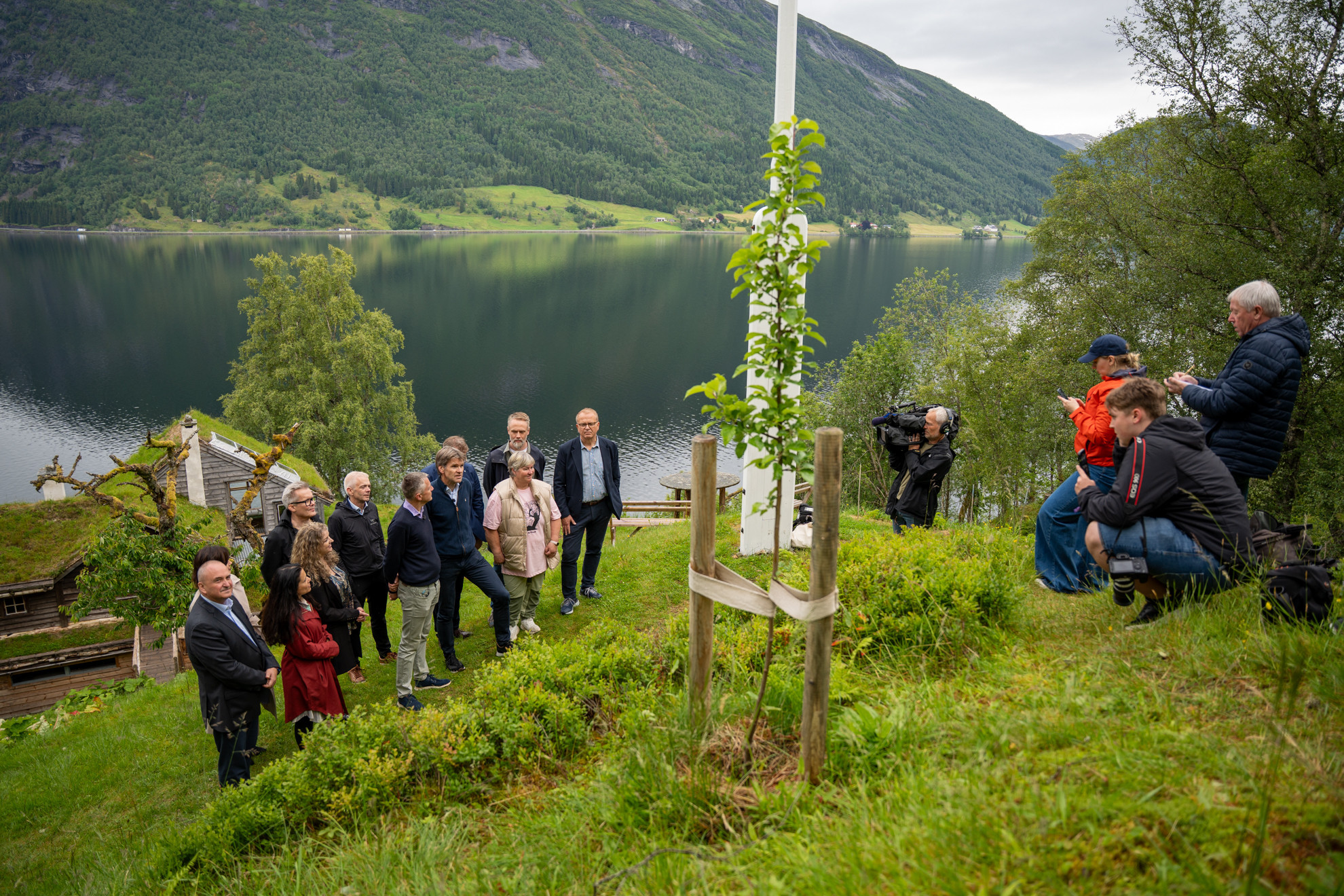 Folk i grønt område.