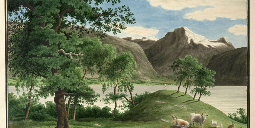 norsk-reiselivsmuseum/vangsnes.png.