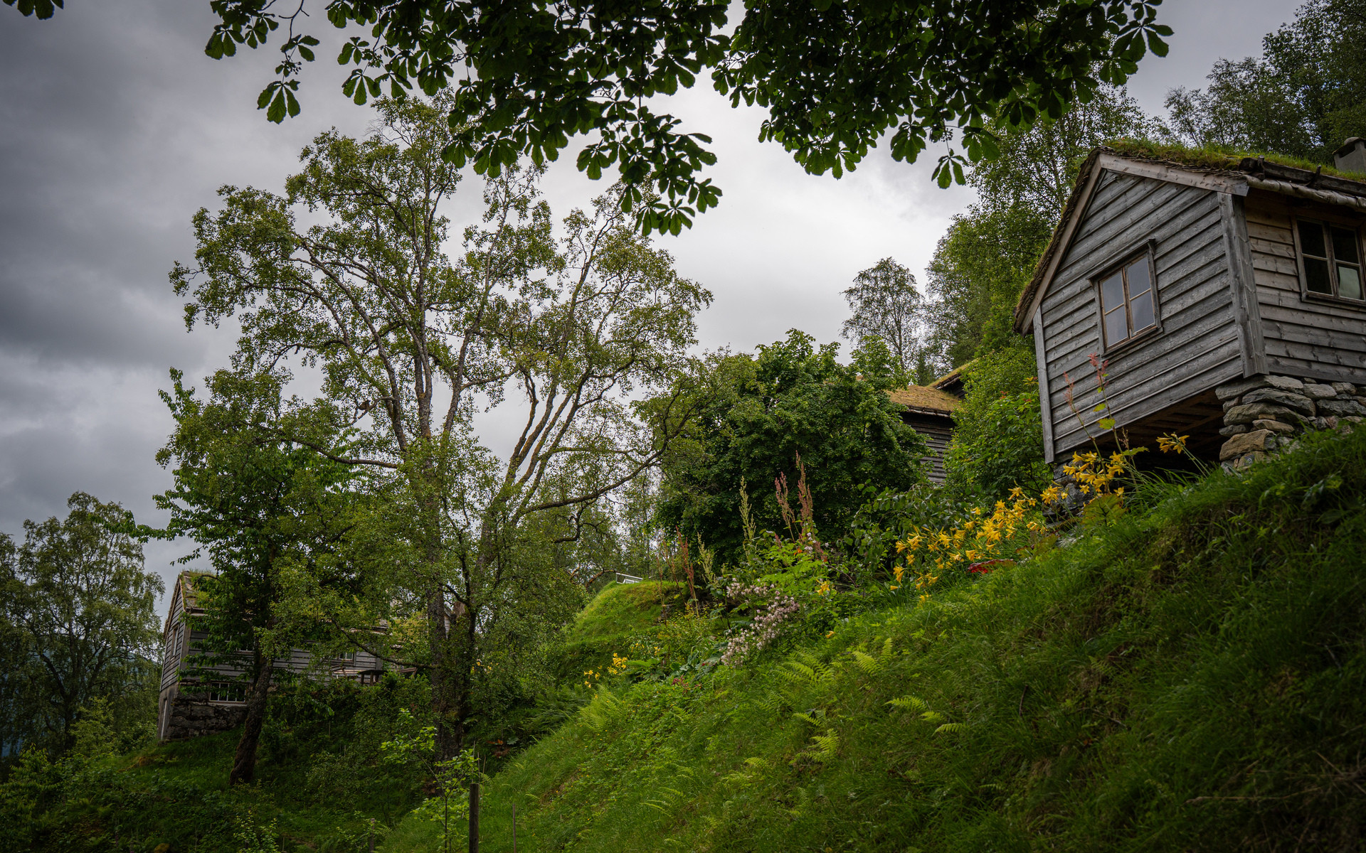 astruptunet_msf_05093_39776065.jpg