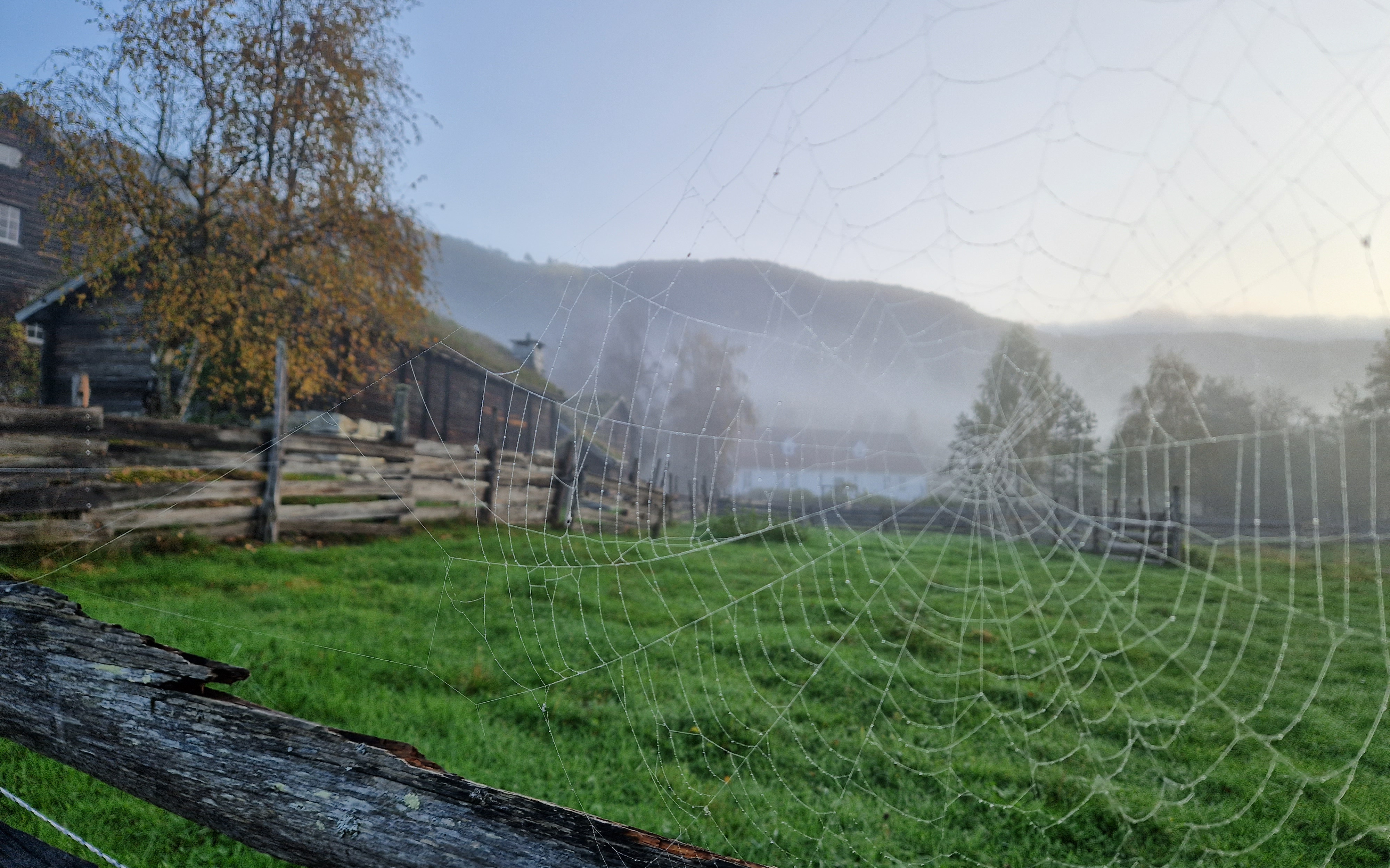 morgonstemning_msf_02409_24428797.jpg