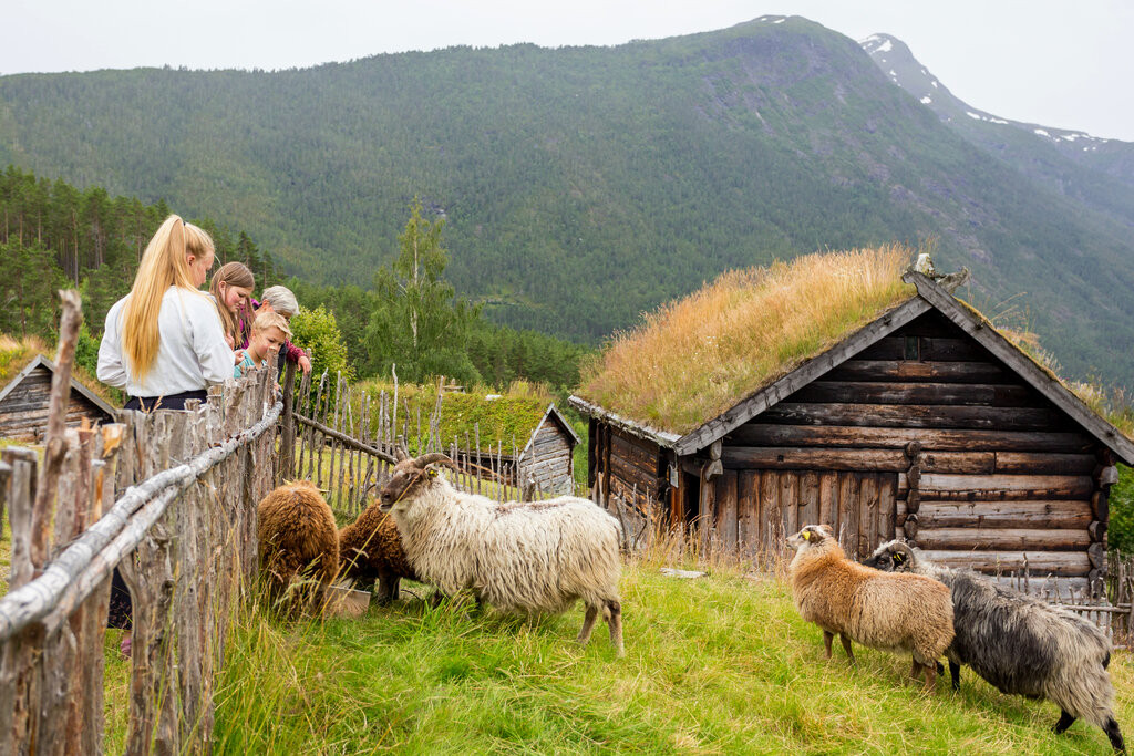 de-heibergske-samlinger/hels-pa-sauen.jpg.