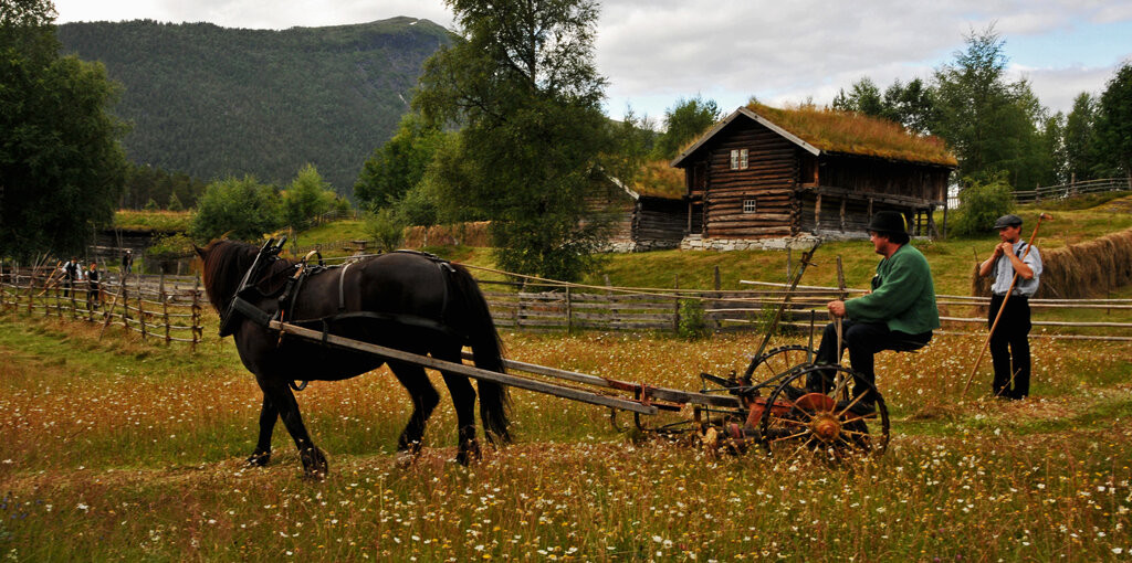 de-heibergske-samlinger/hestekoyring-dhs.jpg.