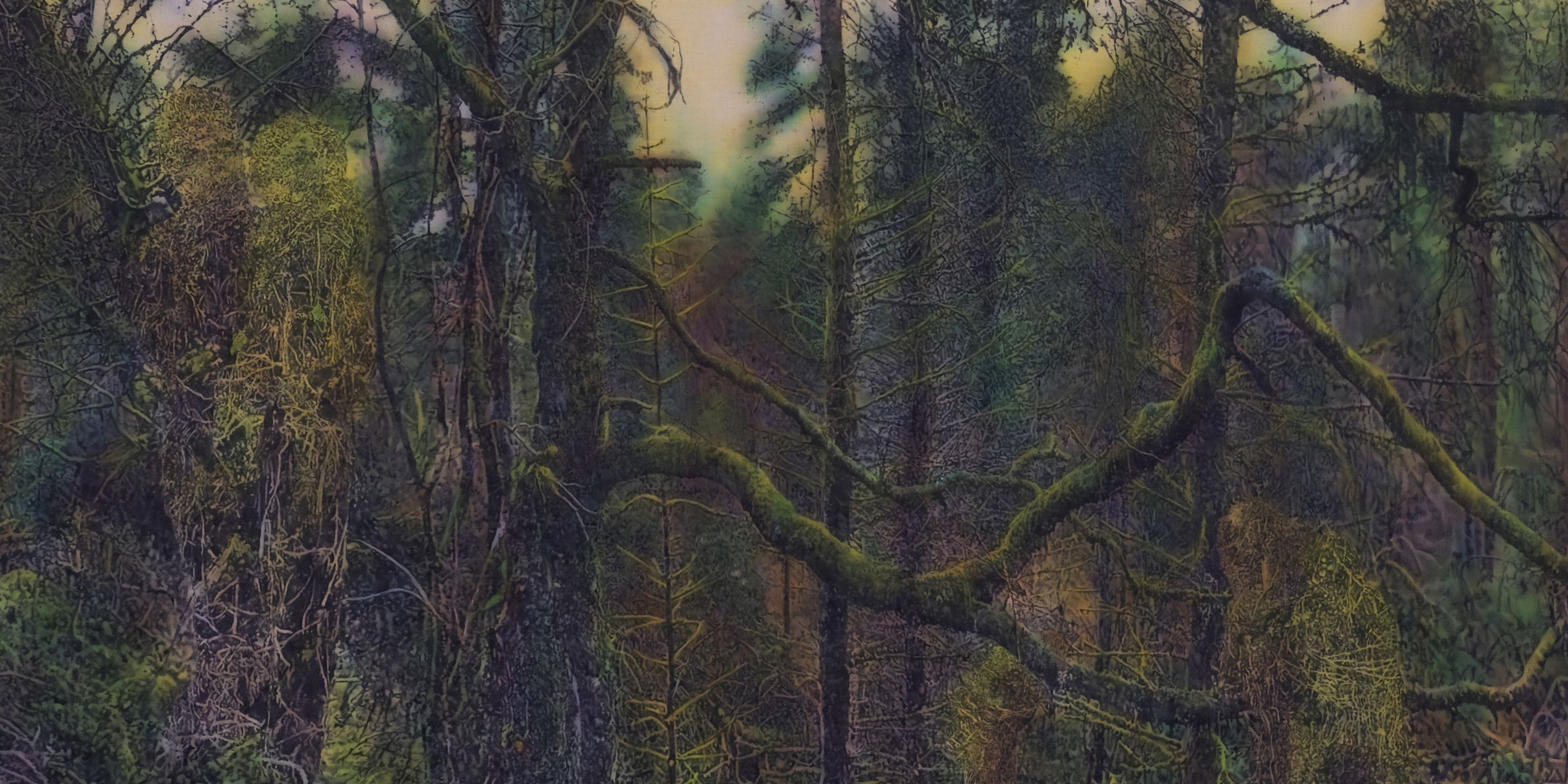 Utsnitt av panoramaverket «Gjenklang». Skoglandskap teikna med kol. Foto: Linda Soh Trengereid.