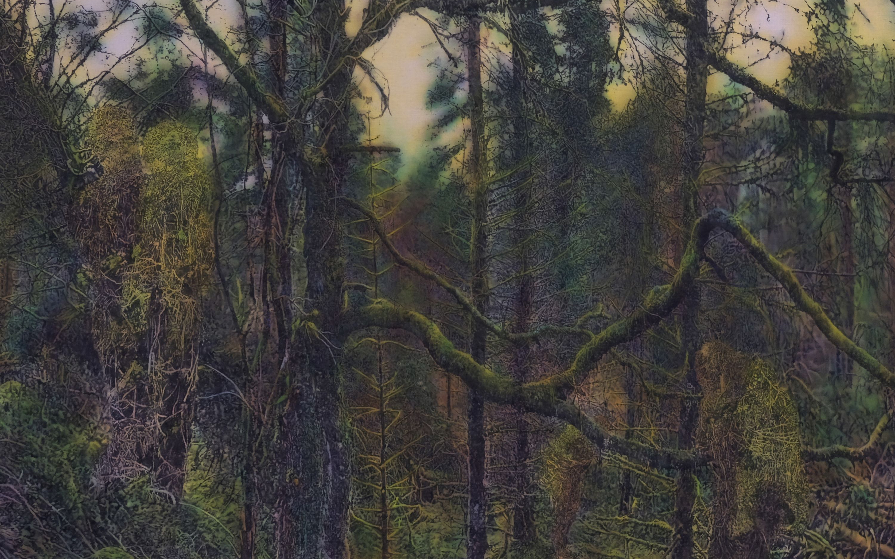 dscf8344low.jpg