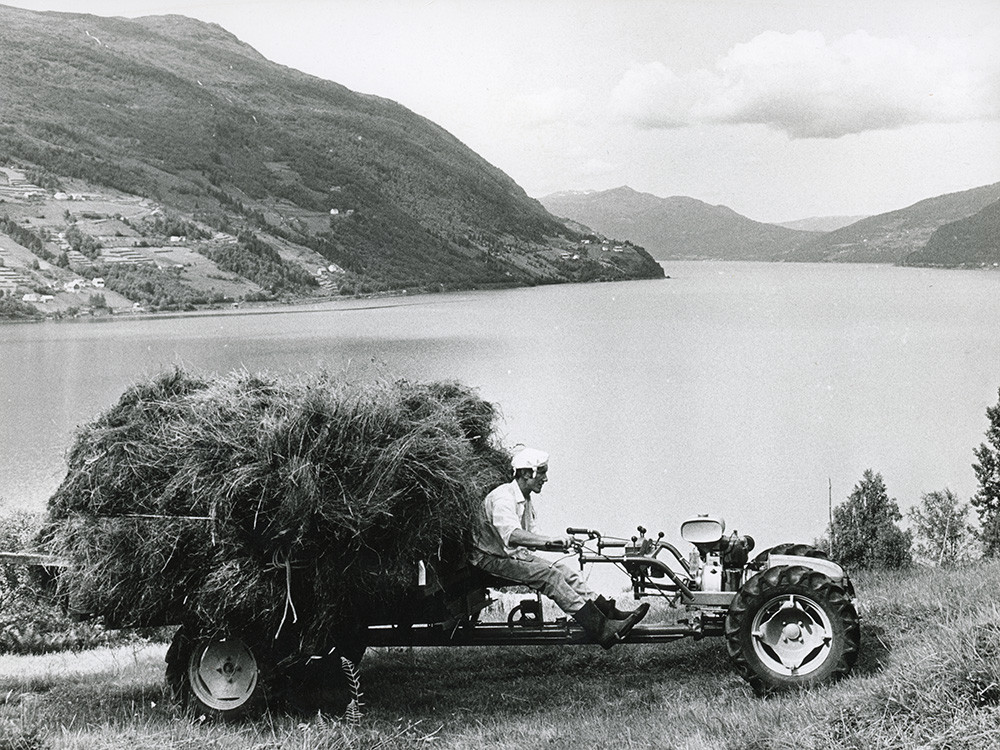 Muri køyrer traktor med høy, utsikt mot fjord og fjell i bakgrunnen.