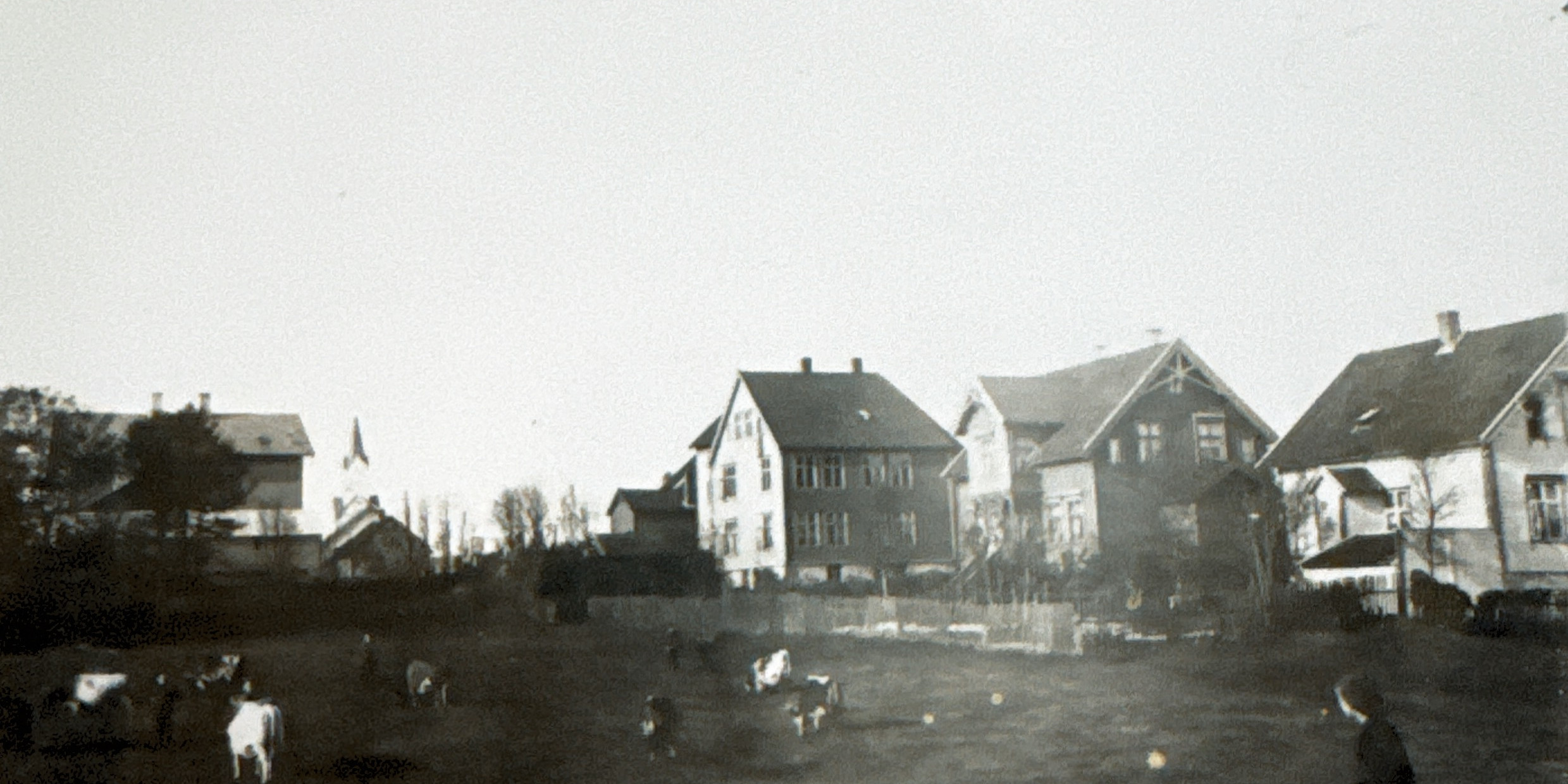 kystmuseet/michael-sars-gate-og-hans-blom-gate.--1908.-eigar-kystmuseet.jpeg.