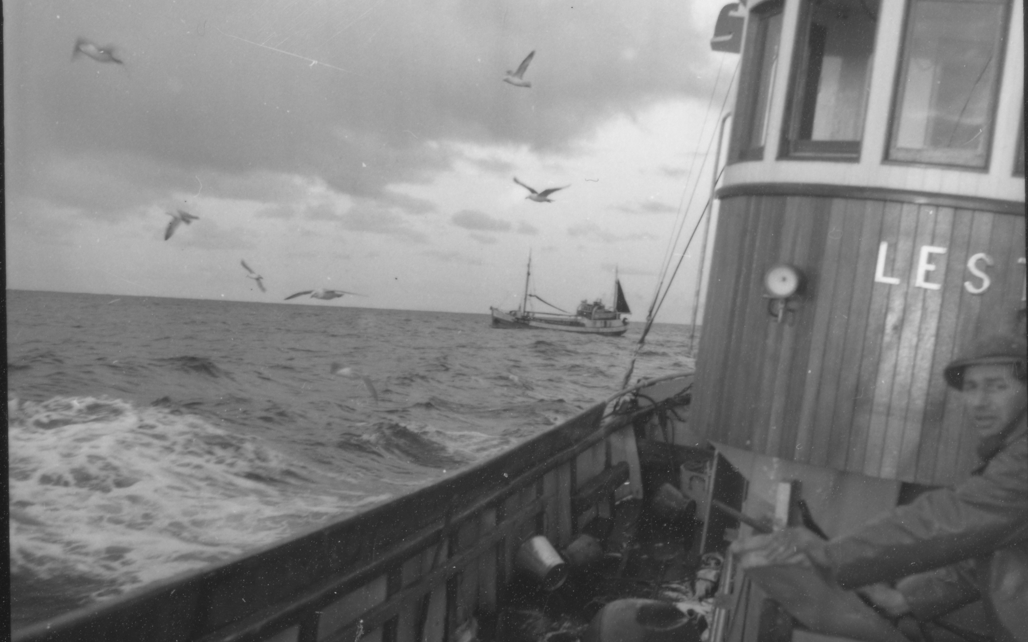 pigghafiske-1718087975.jpg