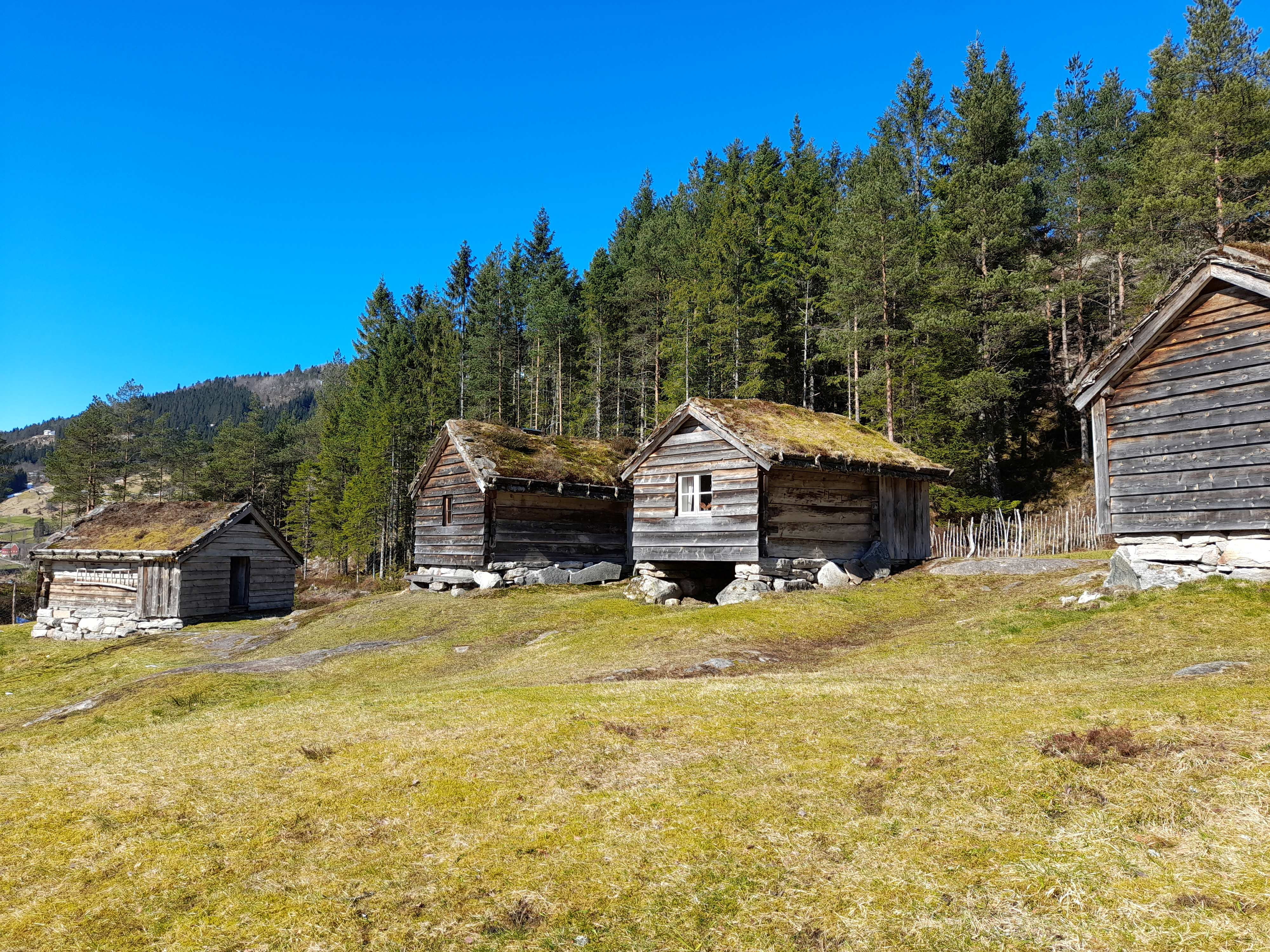 Fire stølshus står på rekke i eit landskap.