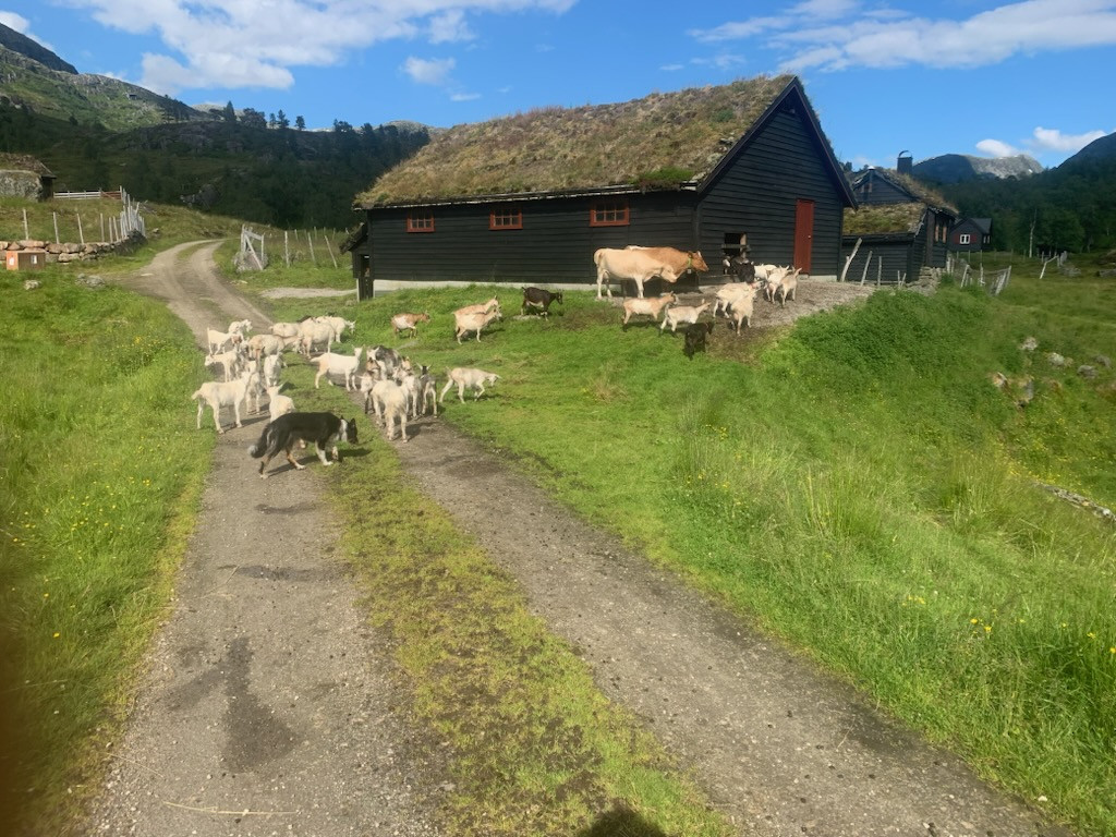 sunnfjord-museum/langestolen_permagnebell.jpg.
