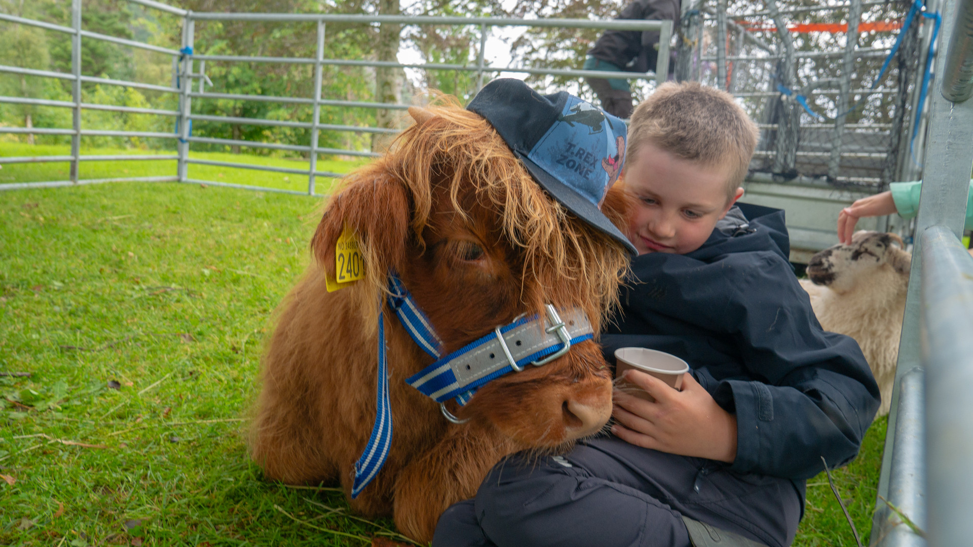 vaagsberget/handelsdag-vagsberget-24_msf_03469_28656969-(1).jpg.